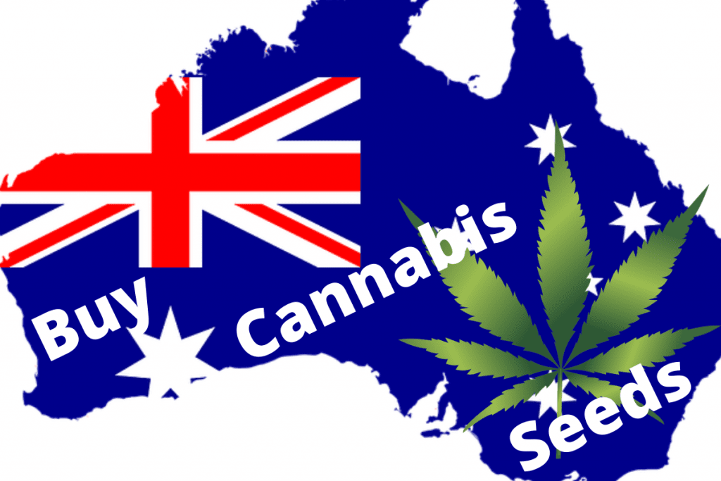 Buy Cannabis Seeds In Queensland | Marijuanaseeds.Net.Au