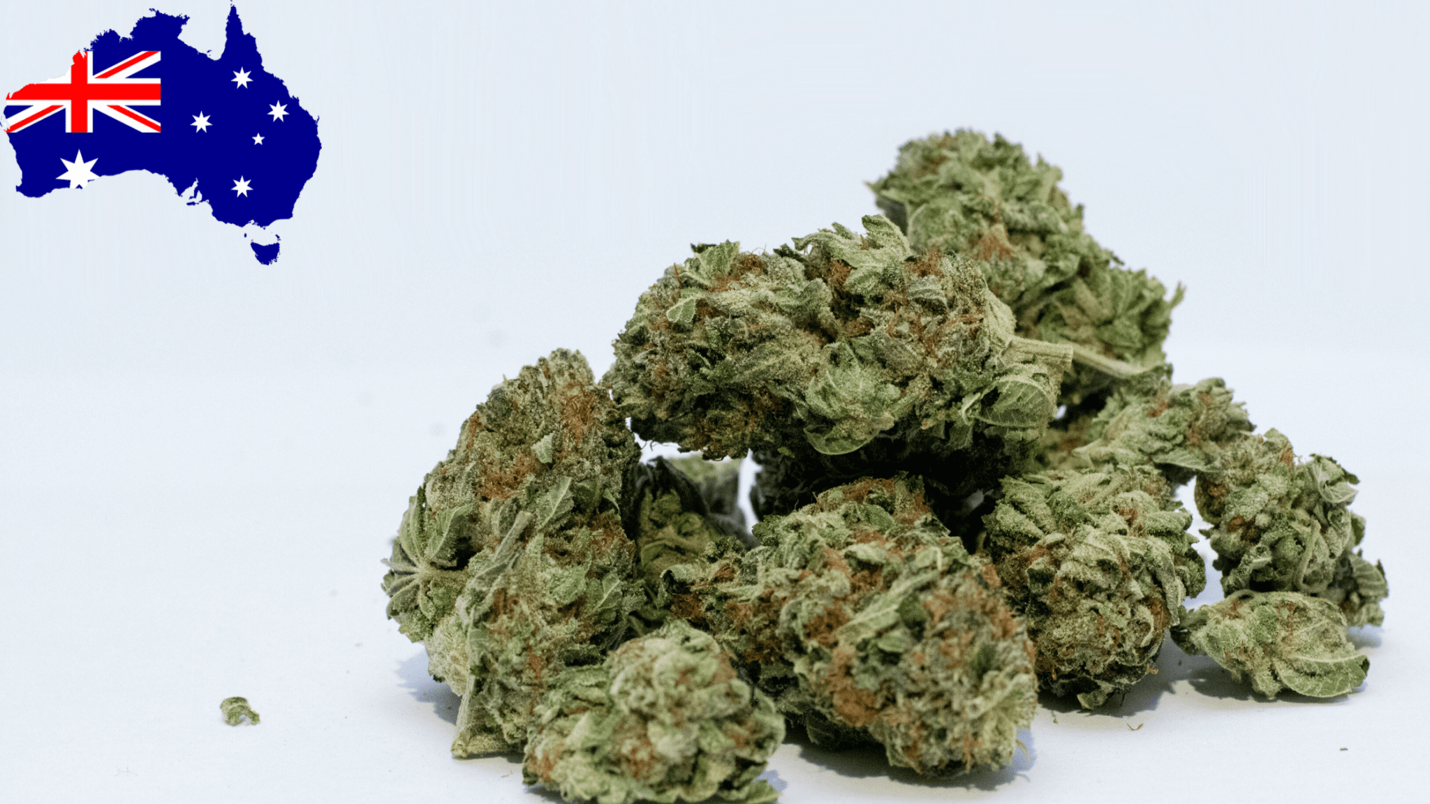 Cannabis Seeds Buying Guide in Australia