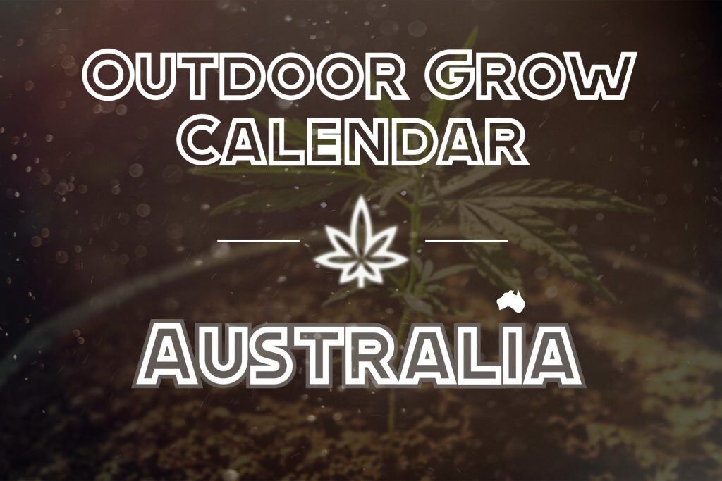 Outdoor Grow Calendar Australia >> Ultimate Guide!